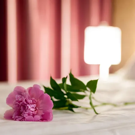 Tomis Garden Apartments Mamaia