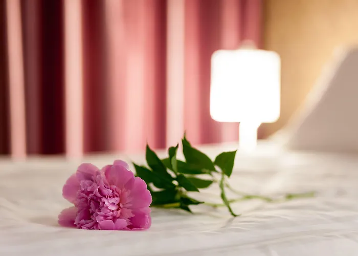 Aparthotel Tomis Garden Apartments Mamaia 3*